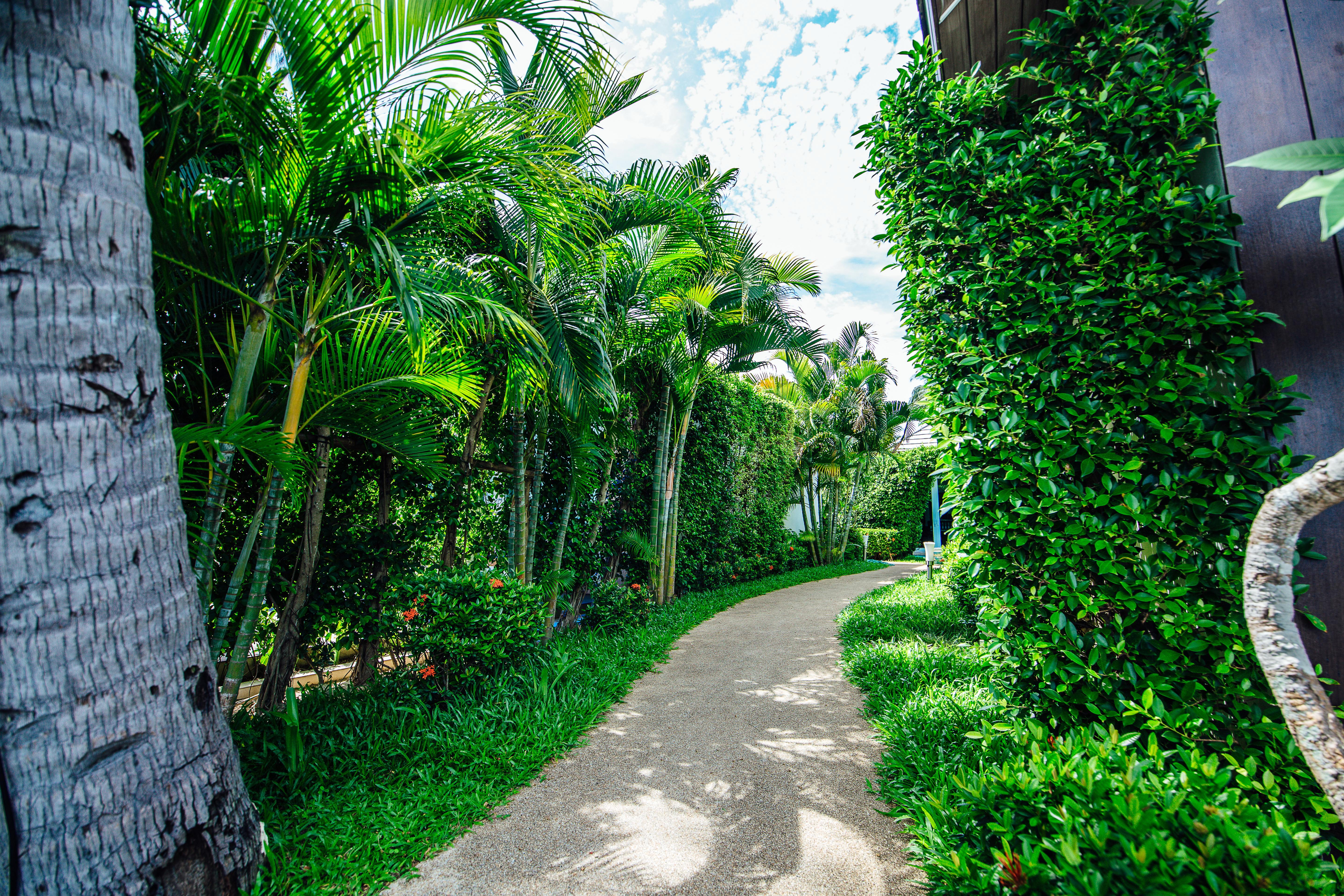 Sea Valley Resort Lipa Noi Buitenkant foto